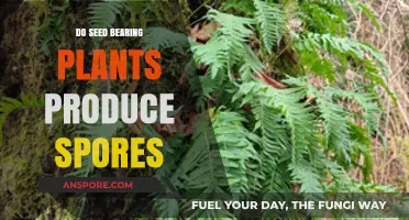 Seed Plants vs. Spores: Unraveling the Reproduction Mystery