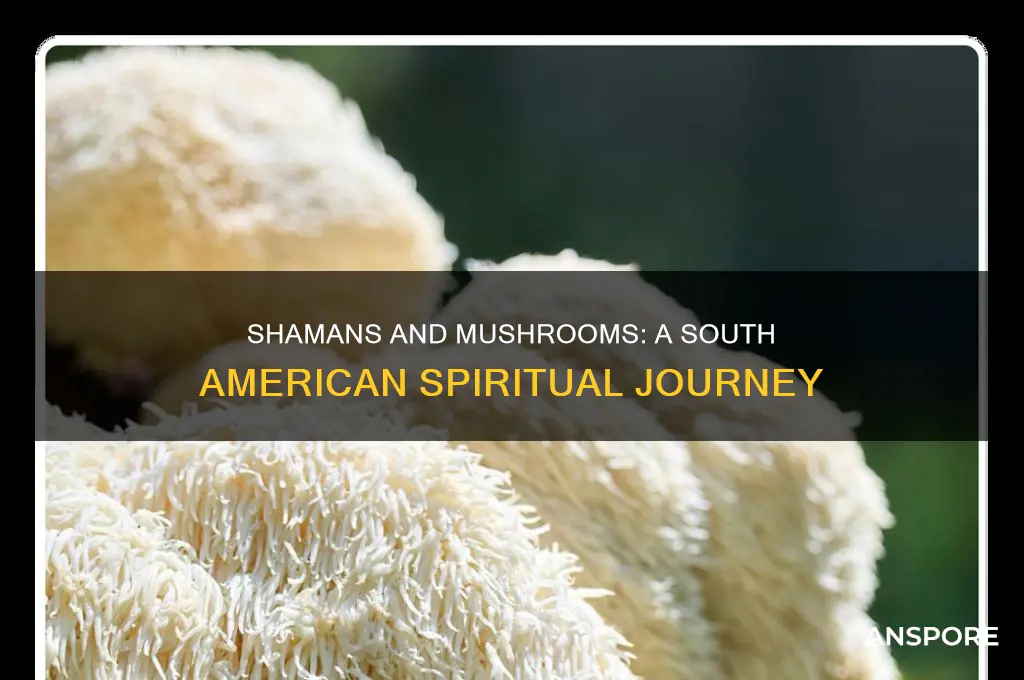 do shamans in south america take mushrooms