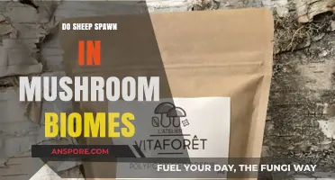 Sheep in Mushroom Fields: A Natural Mystery