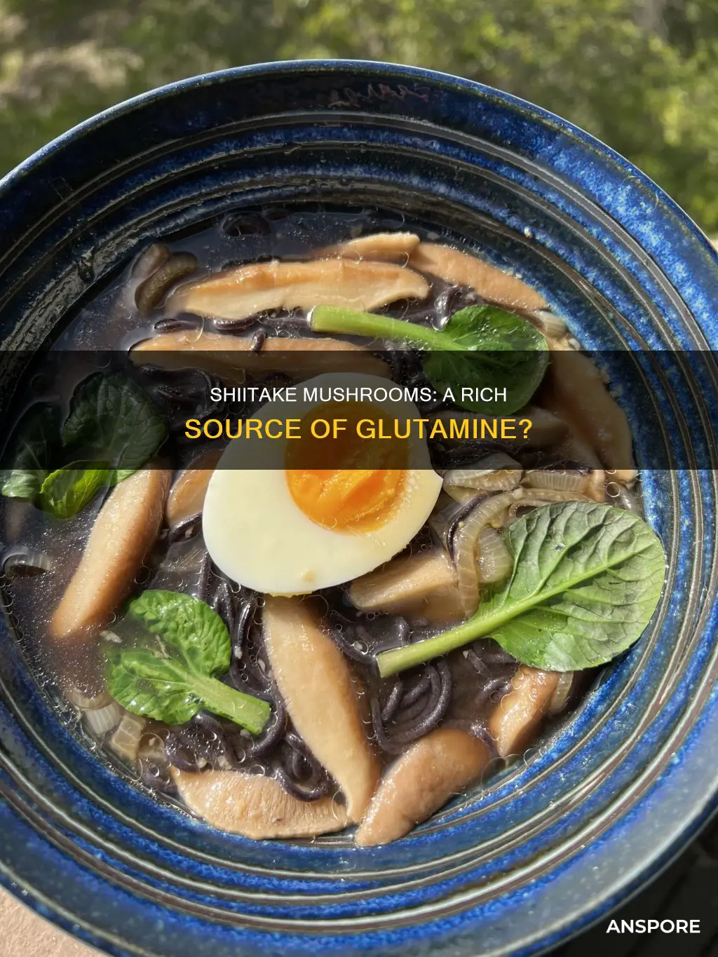 do shiitake mushroom contain glutamine