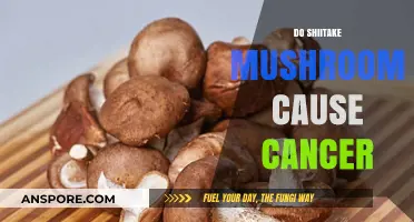 Shiitake Mushrooms: Cancer-Causing or Cancer-Fighting?