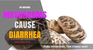 Shiitake Mushrooms: Diarrhea and How to Prevent It