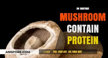 Shiitake Mushrooms: A Good Source of Protein?