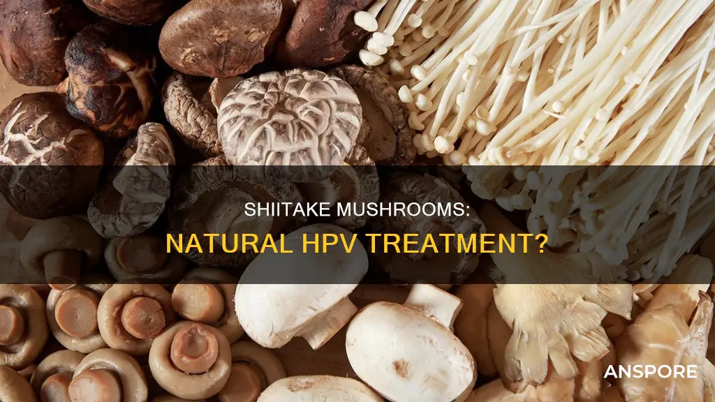 do shiitake mushrooms cure hpv