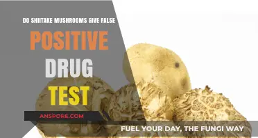 Shiitake Mushrooms: Drug Test Poser?