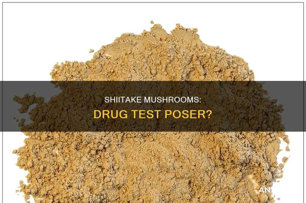do shiitake mushrooms give false positive drug test