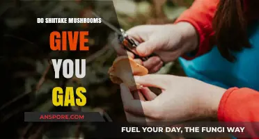 Shiitake Mushrooms and Gas: What's the Deal?