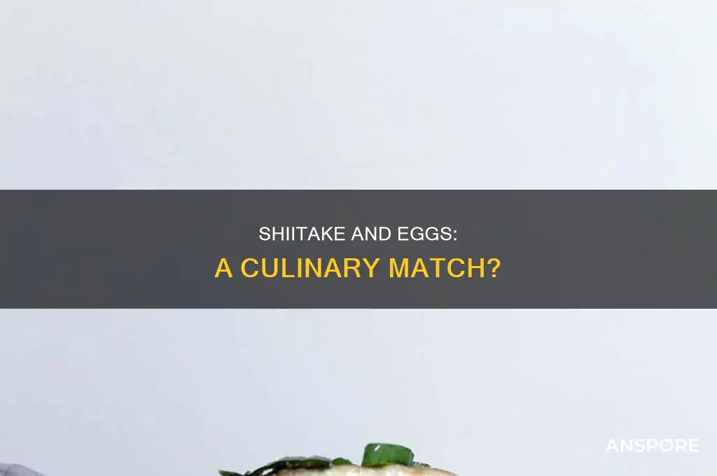 do shiitake mushrooms go with eggs