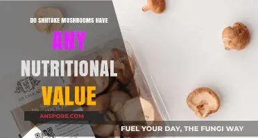 Shiitake Mushrooms: Nutritional Powerhouses or Just Fungi?
