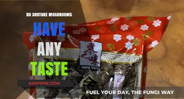 Shiitake Mushrooms: What's the Flavor Profile?