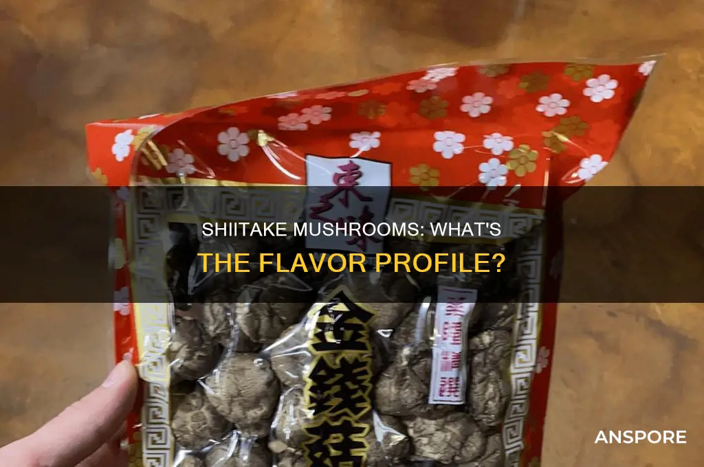 do shiitake mushrooms have any taste