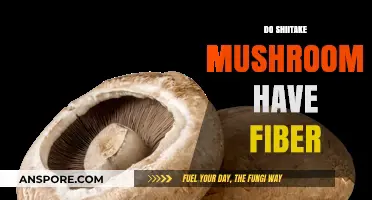 Shiitake Mushrooms: A Surprising Source of Fiber?