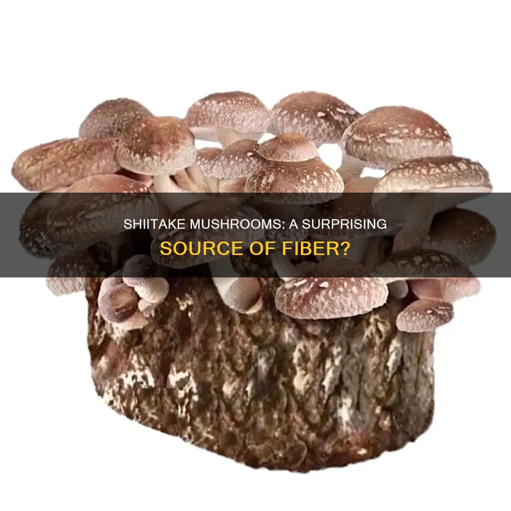 do shiitake mushrooms have fiber