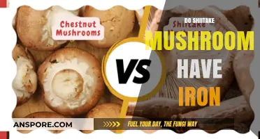 Shiitake Mushrooms: A Rich Source of Iron?