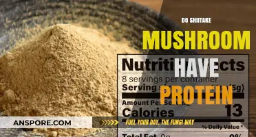Shiitake Mushrooms: Are They a Good Source of Protein?