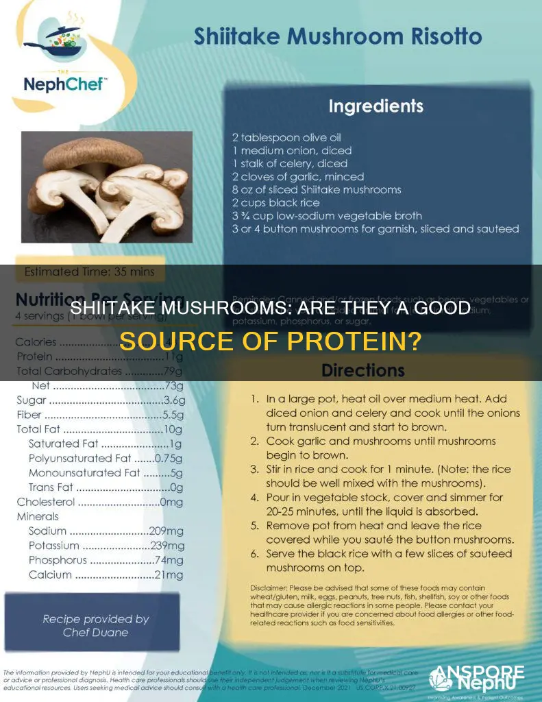do shiitake mushrooms have protein