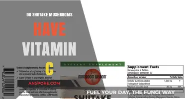 Shiitake Mushrooms: Are They a Source of Vitamin C?