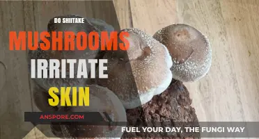 Shiitake Mushrooms: Skin Irritation or Superfood?