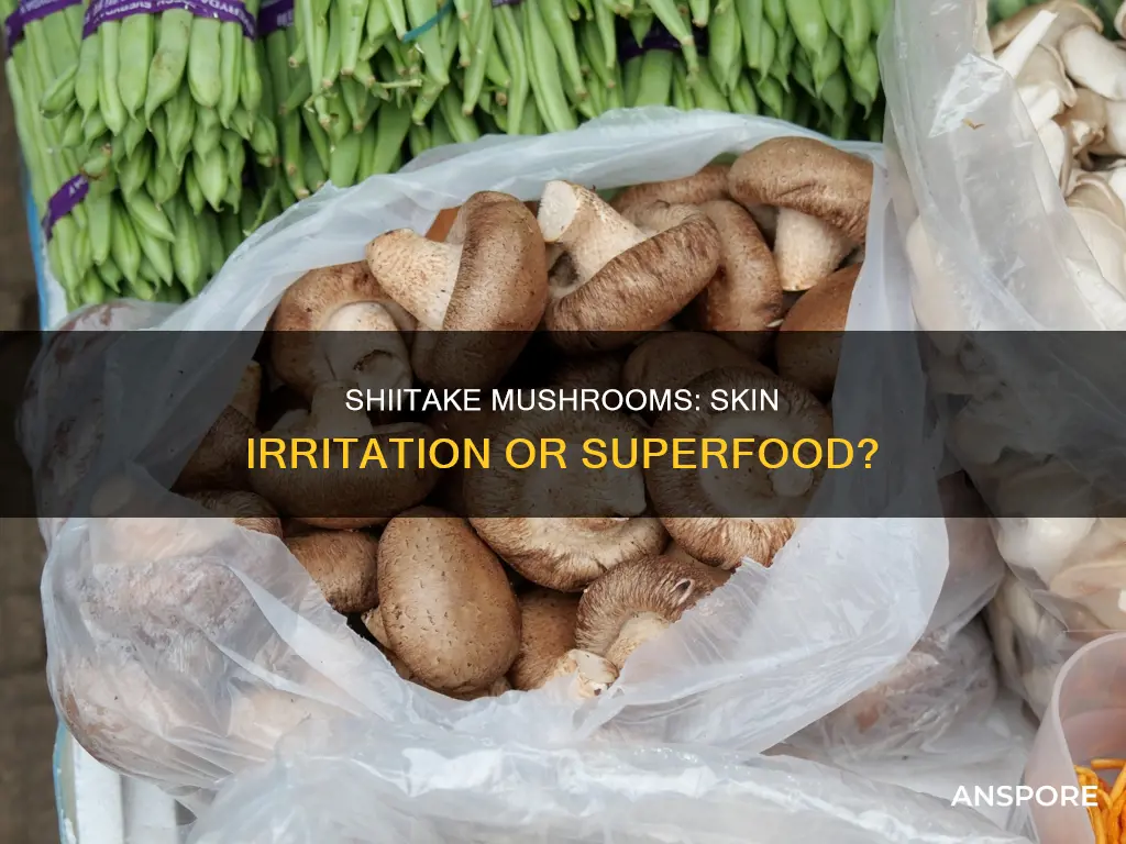 do shiitake mushrooms irritate skin