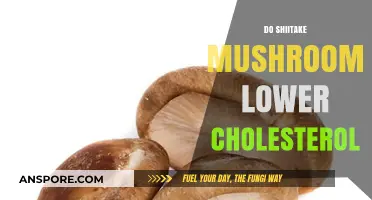Shiitake Mushrooms: Natural Cholesterol-Lowering Superfood?