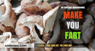 Shiitake Mushrooms and Gas: Unraveling the Fart Mystery