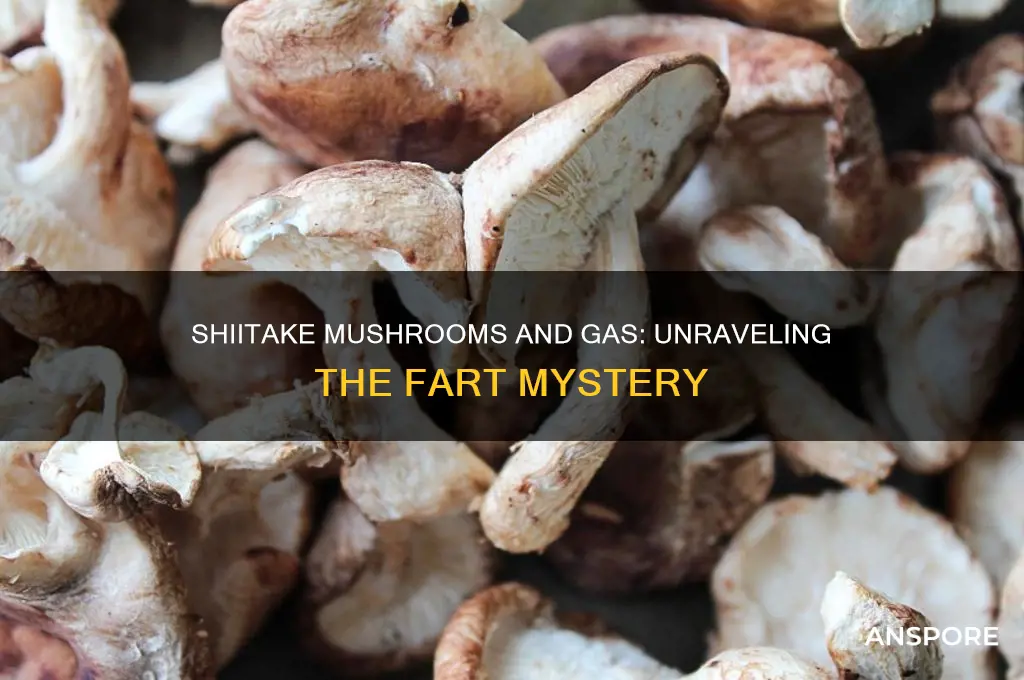 do shiitake mushrooms make you fart