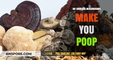 Shiitake Mushrooms and Digestion: Do They Really Make You Poop?