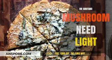 Shiitake Mushrooms: Light or Dark?