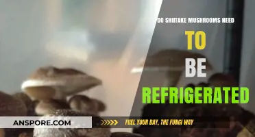 Shiitake Storage: Fridge or No Fridge?