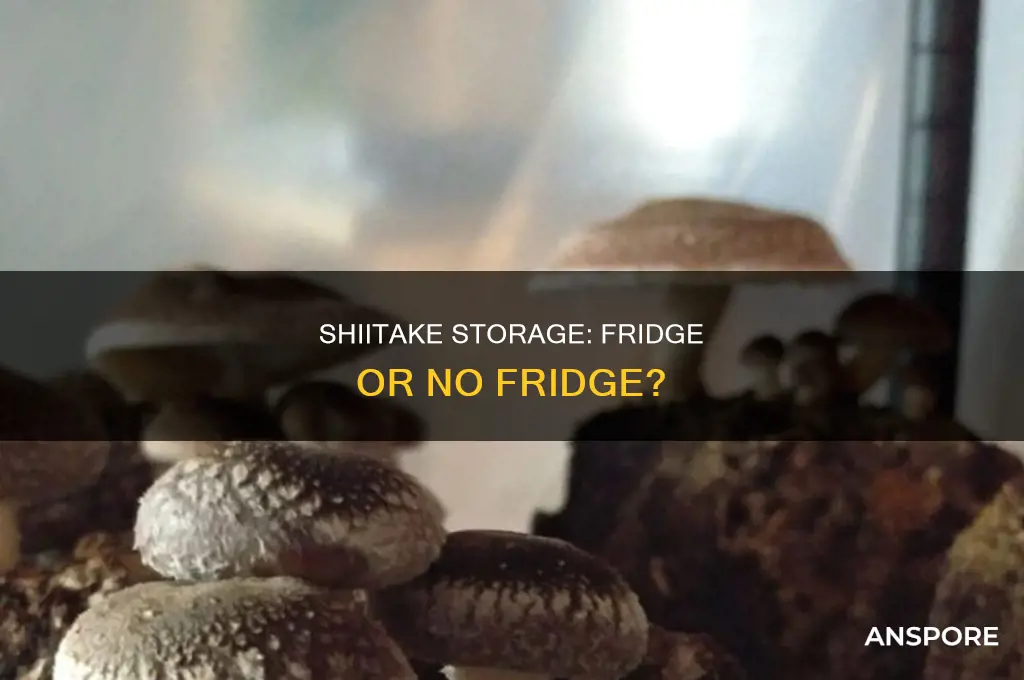 do shiitake mushrooms need to be refrigerated