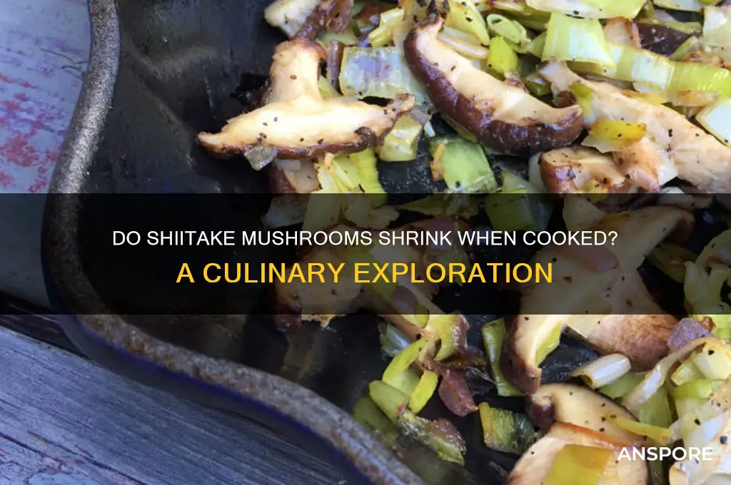 do shiitake mushrooms shrink when cooked