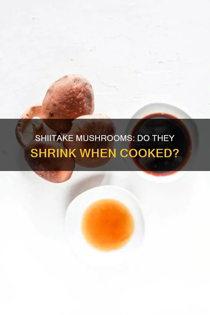 do shiitake mushrooms shrink