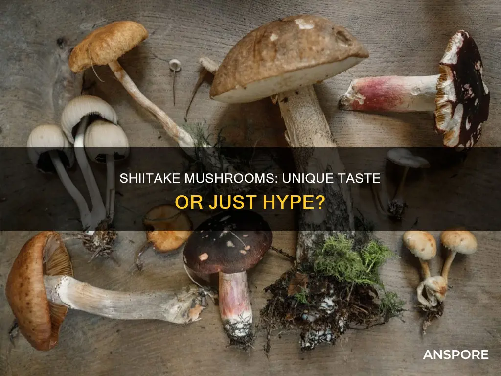 do shiitake mushrooms taste different