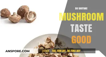 Do Shiitake Mushrooms Taste Good? Exploring Their Unique Flavor Profile