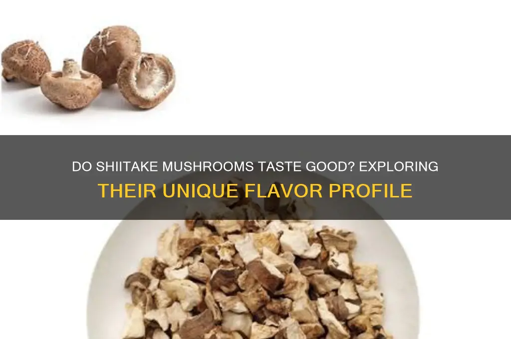 do shiitake mushrooms taste good
