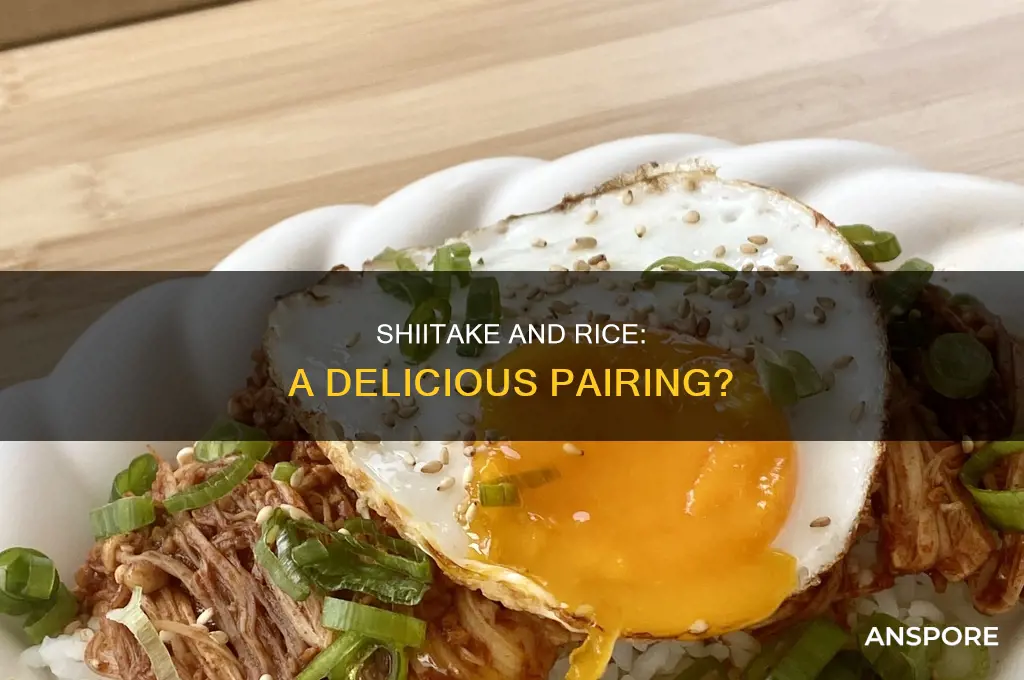 do shitake mushroom go well with rice