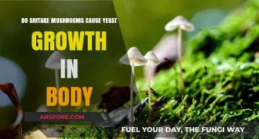 Shitake Mushrooms: Yeast Growth Friend or Foe?