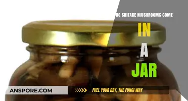 Shiitake Mushrooms: Jar Storage or Fresh?