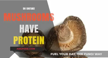 Shiitake Mushrooms: A Good Source of Protein?