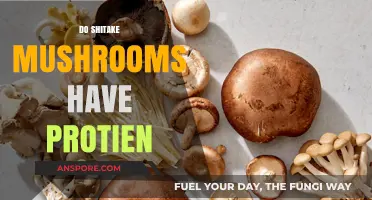 Shiitake Mushrooms: A Surprising Source of Protein?