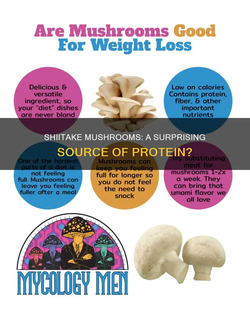 do shitake mushrooms have protien