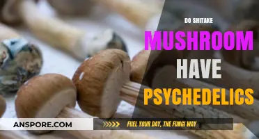 Do Shitake Mushrooms Have Hallucinogenic Properties?