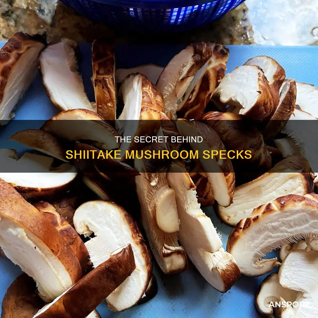 do shitake mushrooms have specks