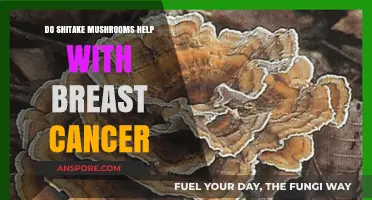 Shiitake Mushrooms: Breast Cancer's Natural Foe?