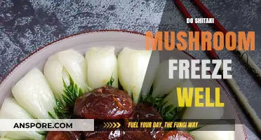 Freezing Shiitake Mushrooms: How Long Do They Last?