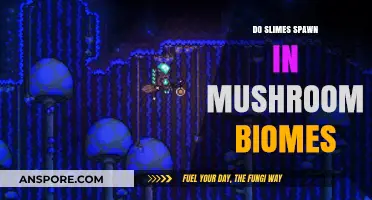 Where Slimes Spawn: Exploring Mushroom Biomes