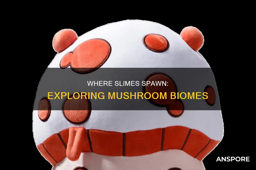 do slimes spawn in mushroom biomes