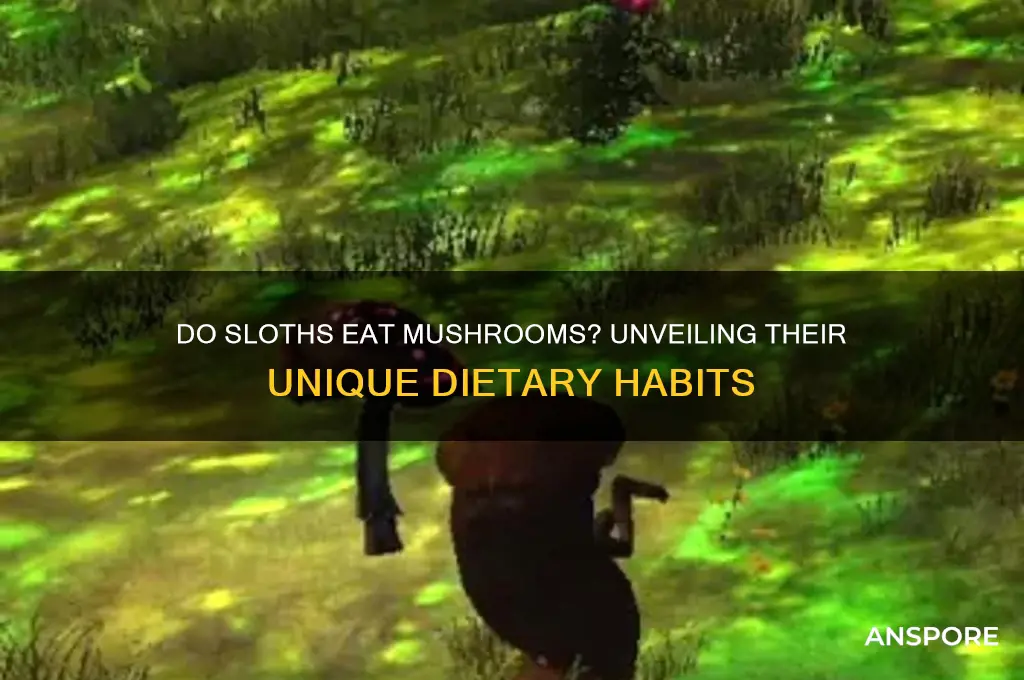 do sloths eat mushrooms
