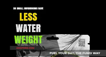 Mushroom Water Weight: Size vs. Hydration