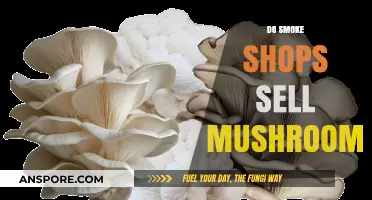 Where to Buy Magic Mushrooms: Smoke Shops?
